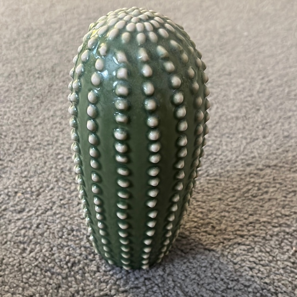 cute cactus decor